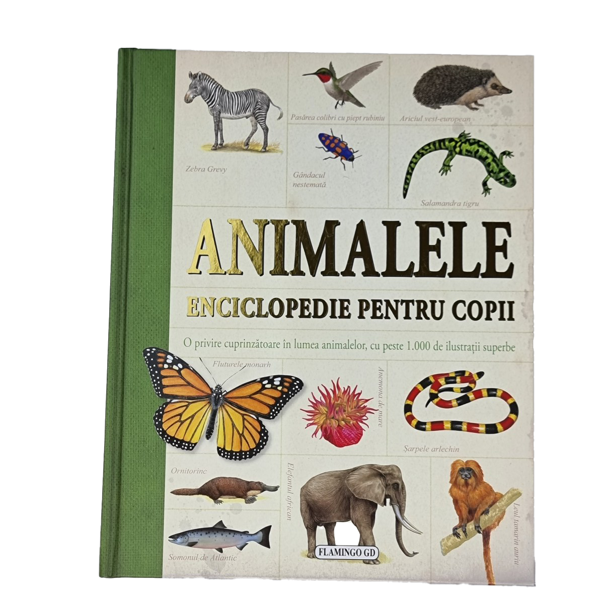 Carte Animalele Enciclopedie Pentru Copii
