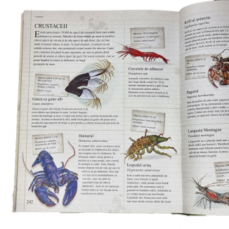 Carte Animalele Enciclopedie Pentru Copii